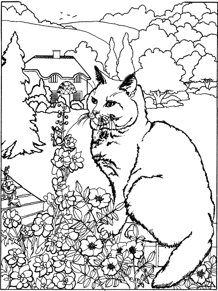 coloriage chat dans le jardin
